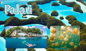 ดำน้ำ ชมปะการัง หมู่เกาะปาเลา ว่ายน้ำทะเลสาบแมงกะพรุน สาธารณรัฐปาเลา